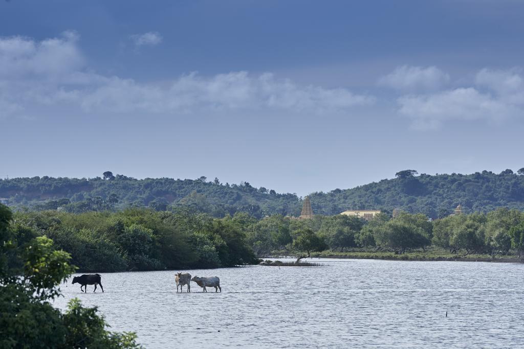 Amaranthe Bay Resort & Spa Trincomalee Kültér fotó